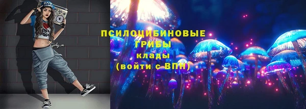 ГАЛЛЮЦИНОГЕННЫЕ ГРИБЫ Дмитров
