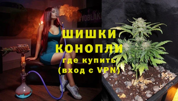 прущие грибы Абдулино