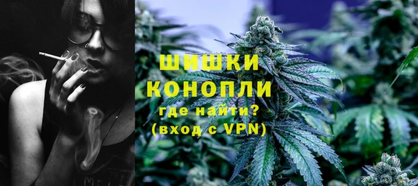 прущие грибы Абдулино