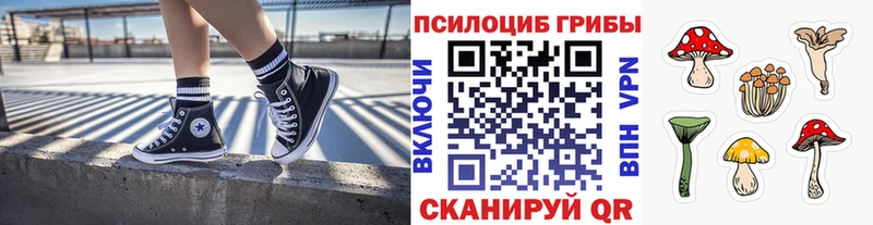 магазин  наркотиков  Шарыпово  Псилоцибиновые грибы MAGIC MUSHROOMS 